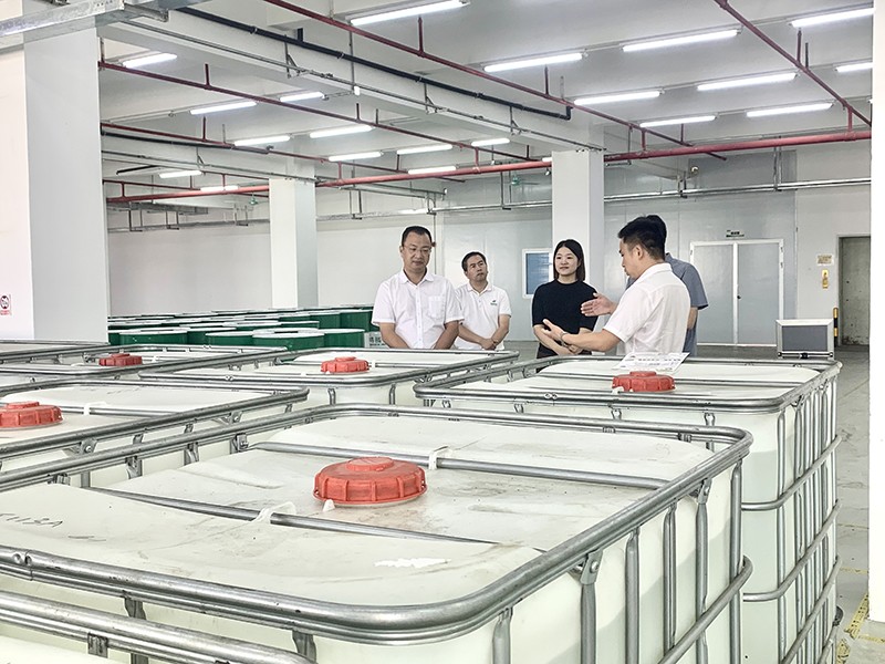 政企连心·共促发展|东莞市东城区政府领导莅临EVO真人视讯新材参观指导